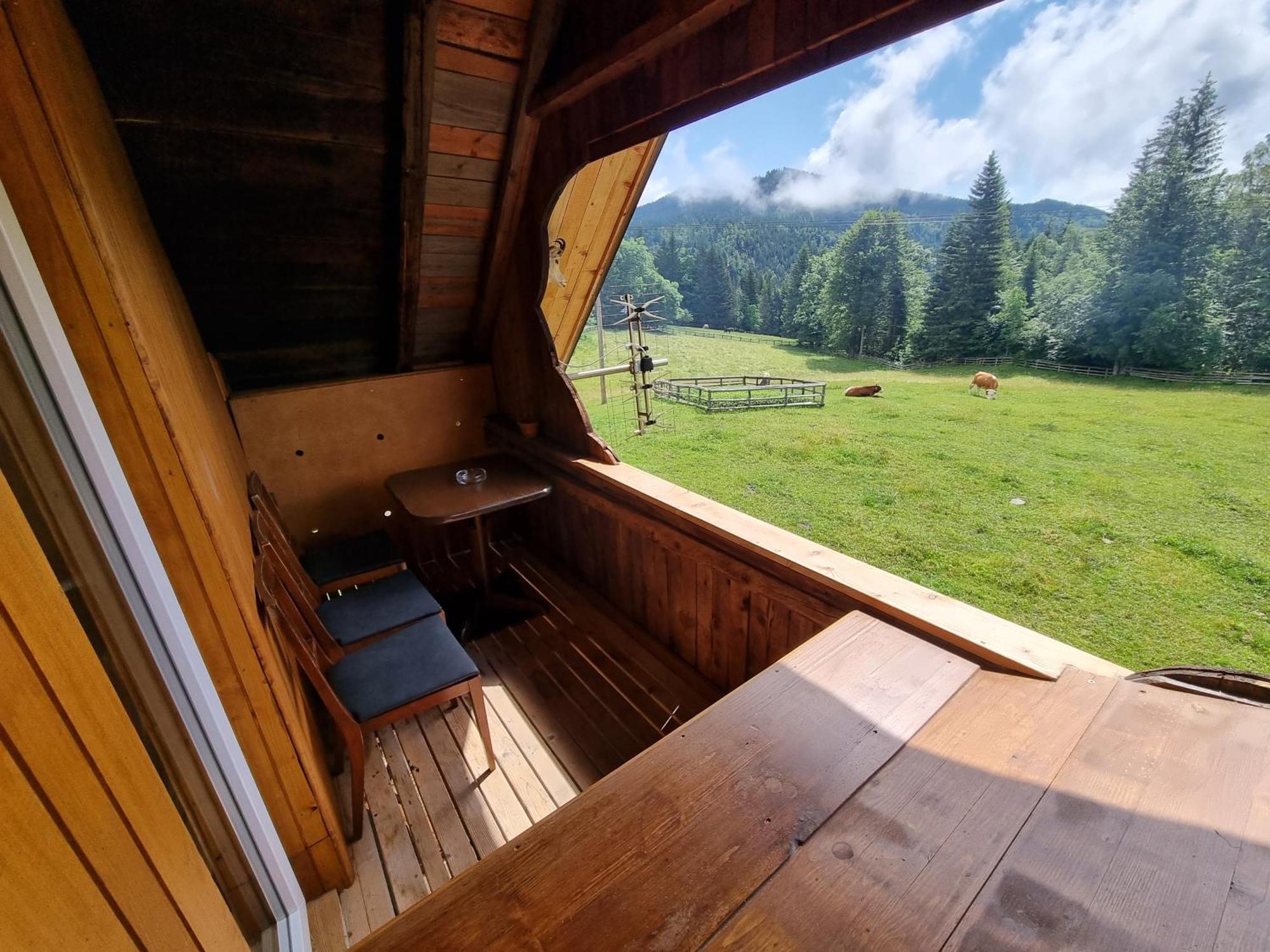 Mountain apartment Uskovnica Bohinj Extérieur photo